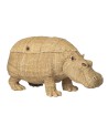 Hippo Trunk