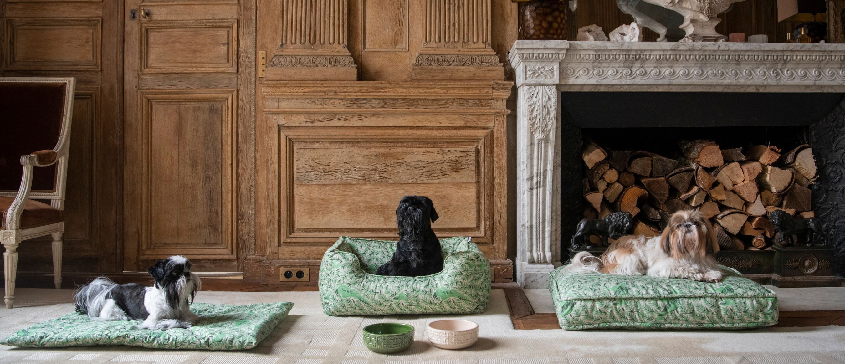 Accessoires Chien