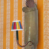 couleur-multicolore