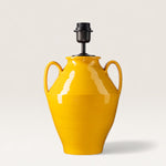 couleur-jaune-mimosa