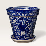 couleur-bleu-et-blanc