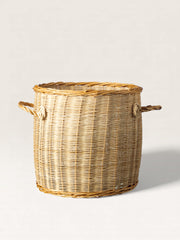 Rattan plant pot