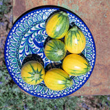 Assiette de Présentation Oiseaux Bleu et Vert