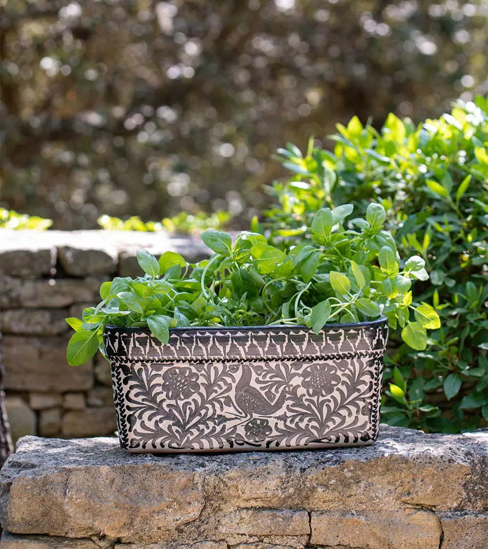 couleur-noir-et-blanc