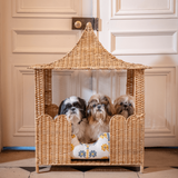 Dog Pagoda House