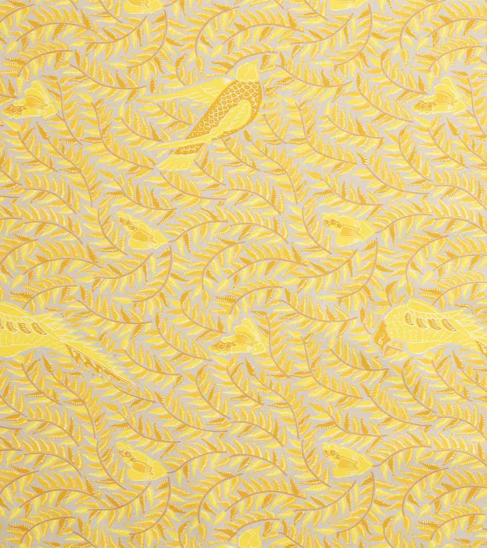 Nappe Java