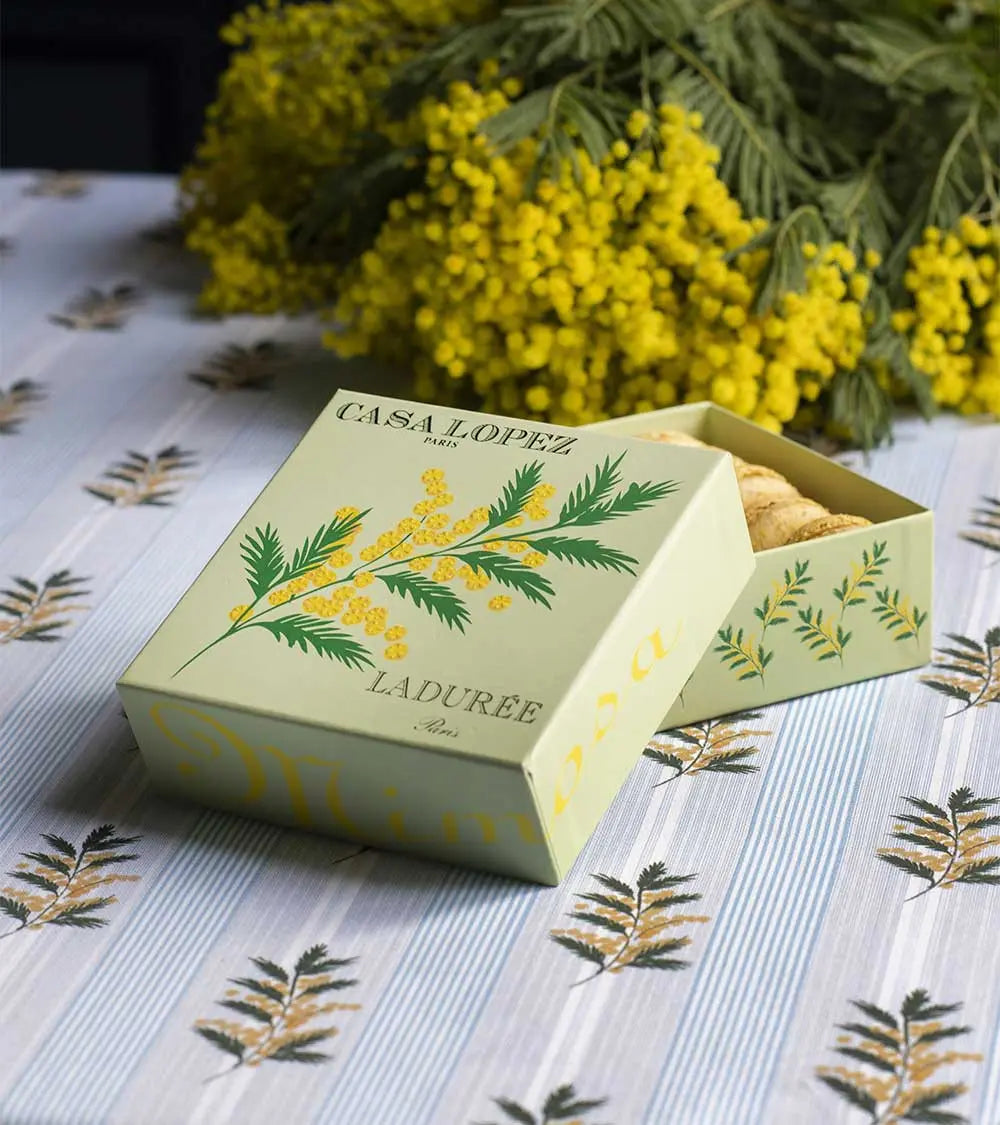 couleur-fine-jaune-fond-bleu