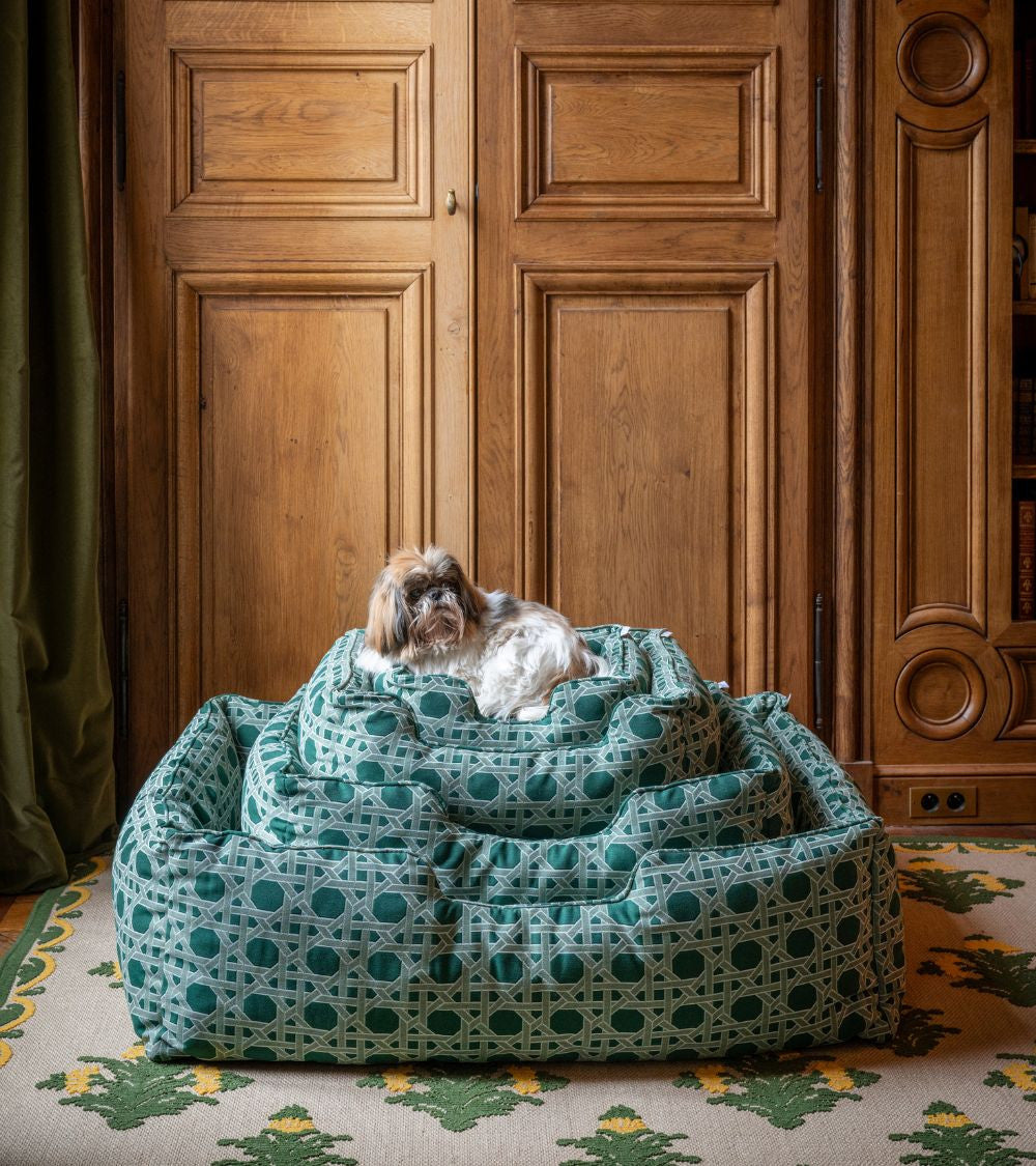 couleur-cannage-olive