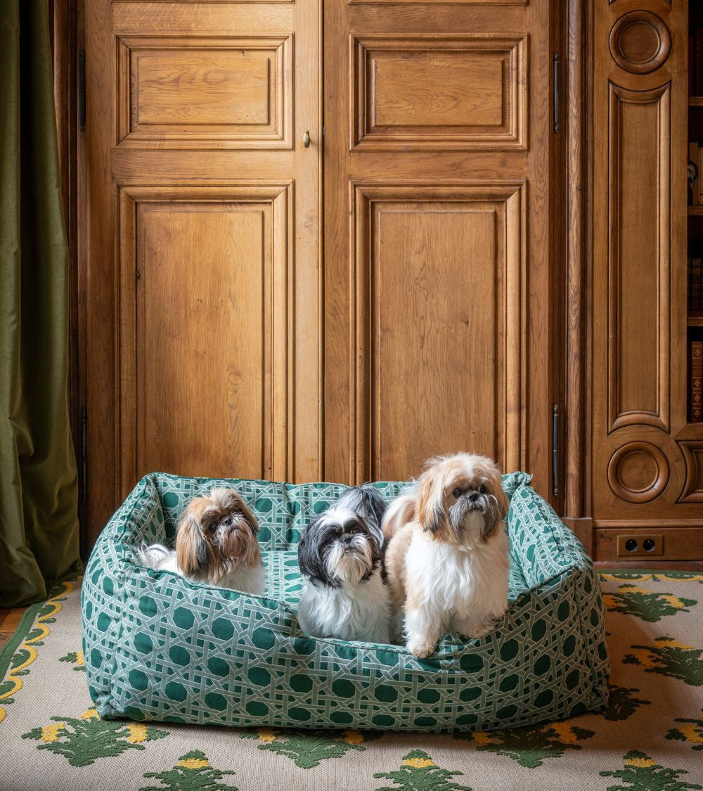 couleur-cannage-olive