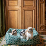 couleur-cannage-olive