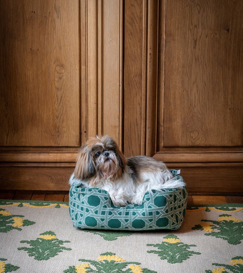 couleur-cannage-indigo