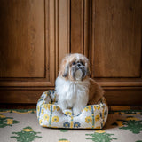 couleur-coup-de-chance-bleu-vert-jaune