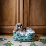 couleur-cannage-olive