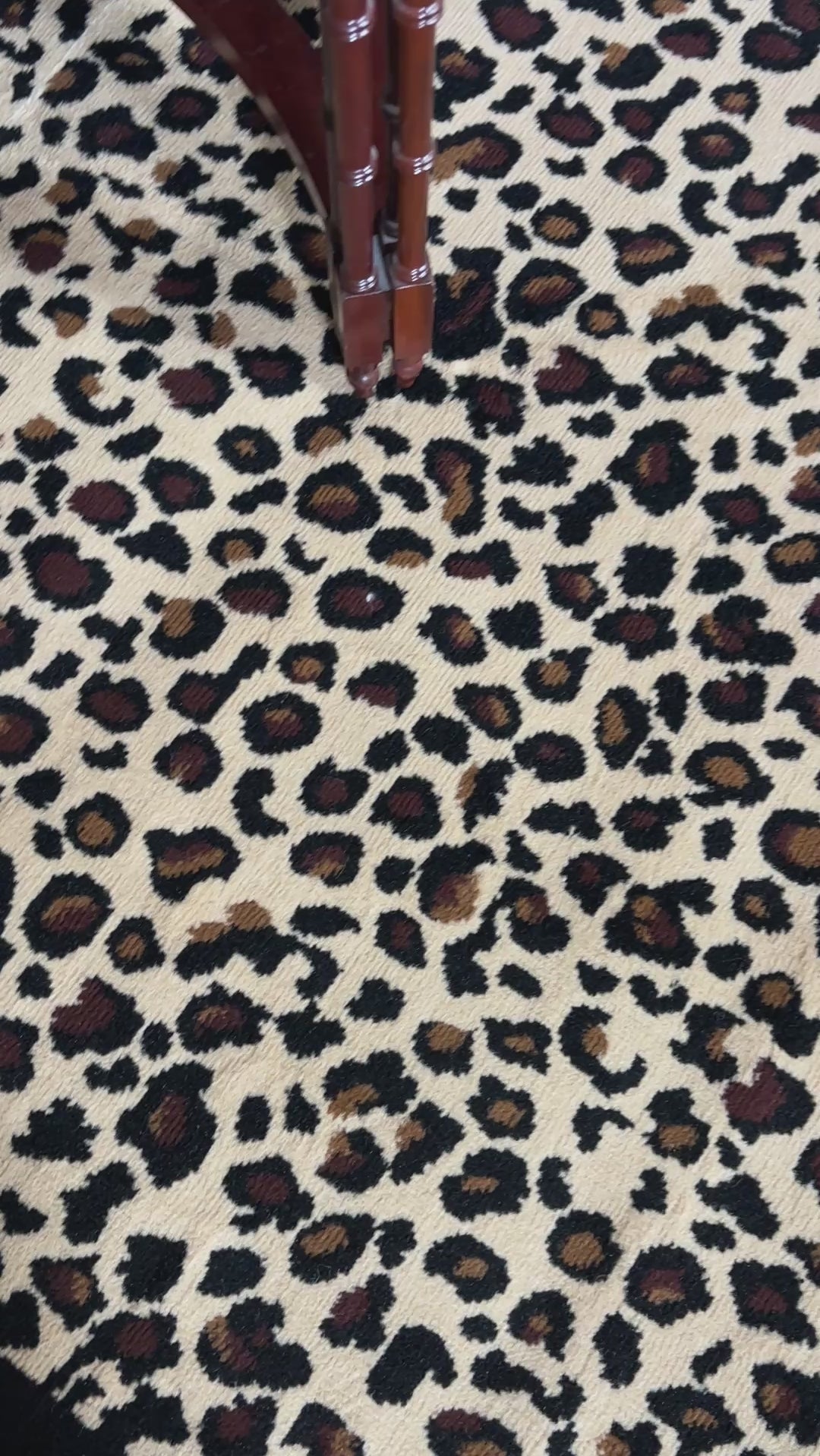 couleur-leopard