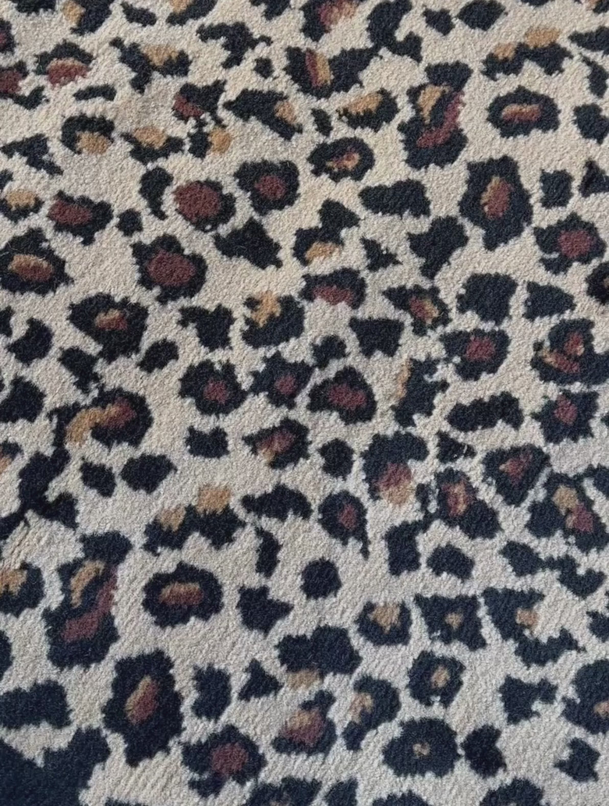 couleur-leopard