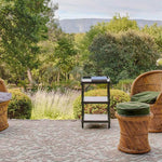 couleur-beige-et-celadon