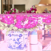 Fleur bleue 🍃

#tissu #casalopez #paris #decorationinterieur #decor #inspo #home #interiordecor #interiordesign #discover #flower #summer #setdetable #table #sunny #sun #outside #fleurbleue